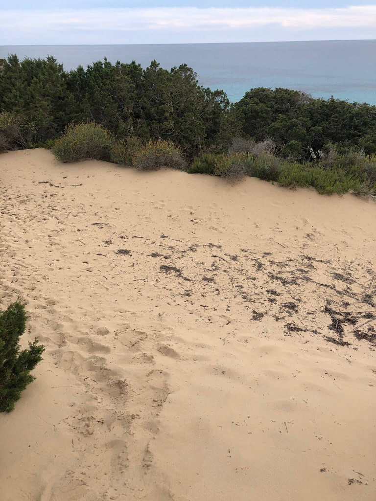 Calò des Mort, Formentera