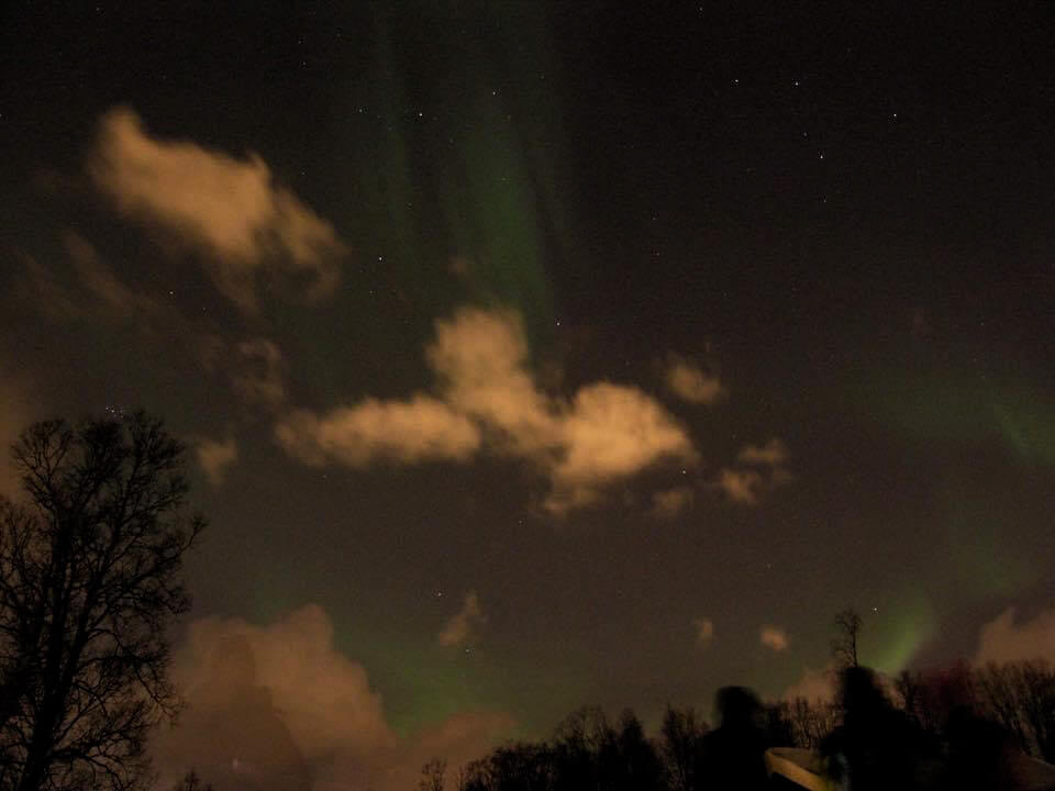 Norvegia, aurora boreale sopra il cielo di Tromsø