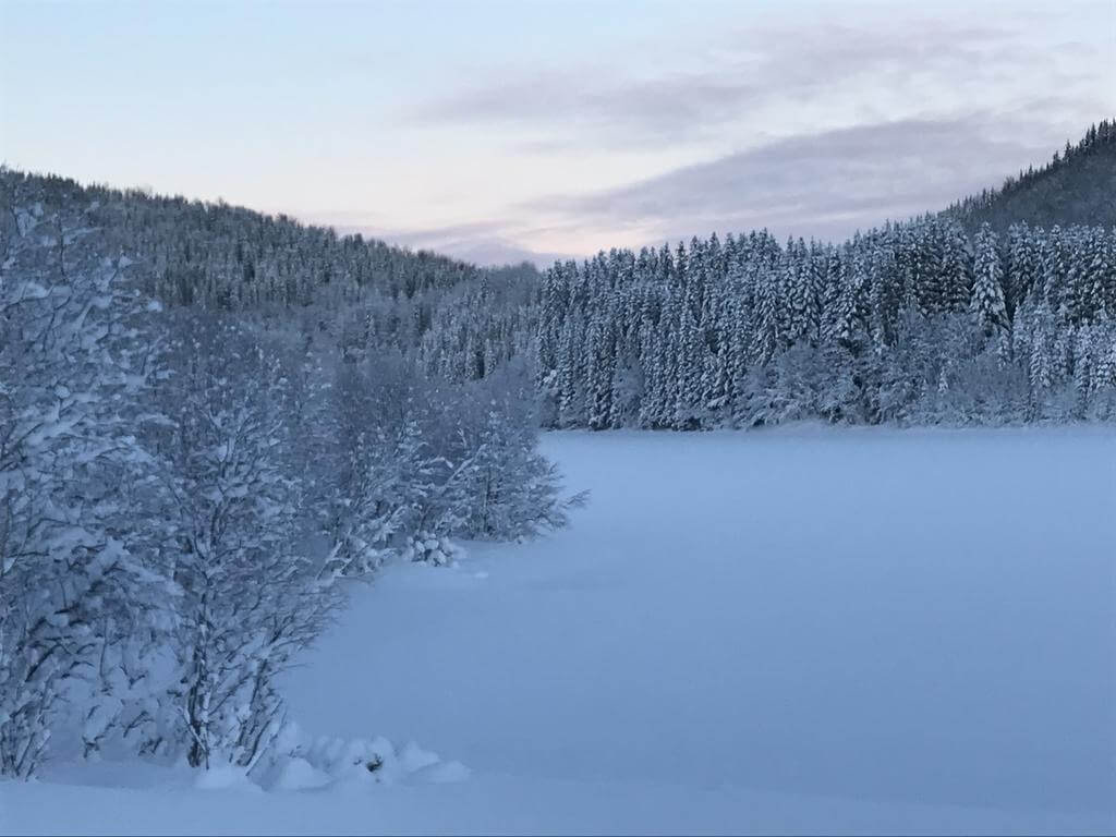 Gli innevati dintorni selvaggi dell'alloggio Vestvatn a Bodø, Norvegia aurora boreale