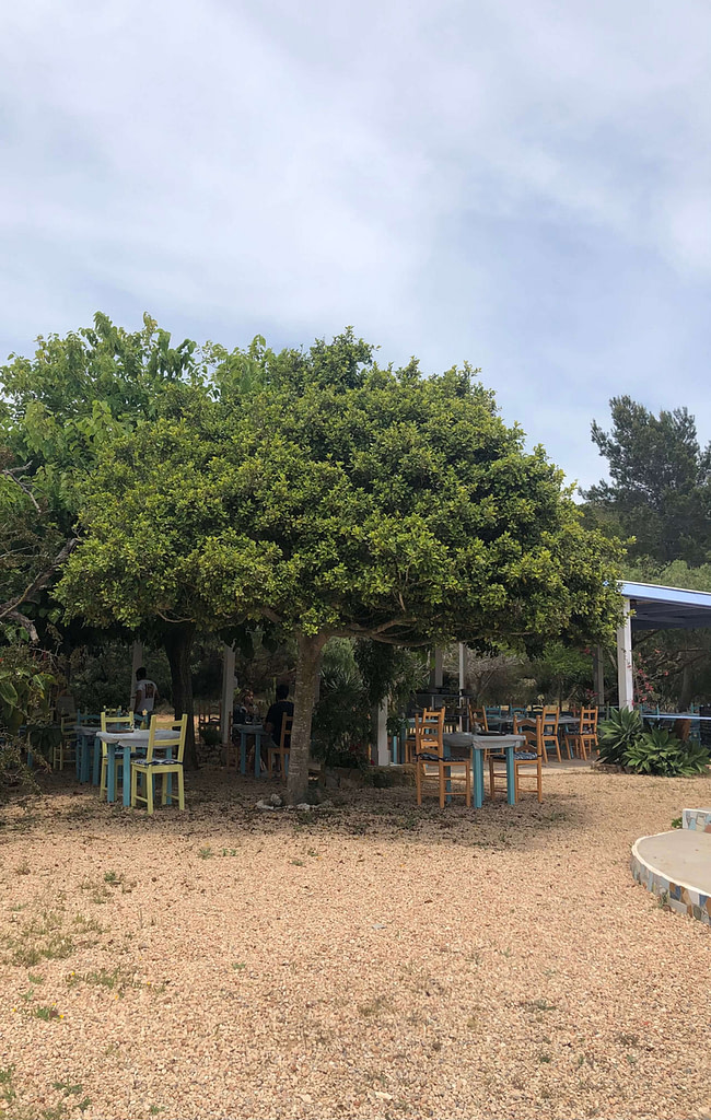 Ristorante  El Rey de la Fideuà, Ibiza