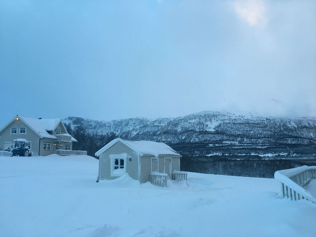 Corsa in slitta con gli husky, Norvegia